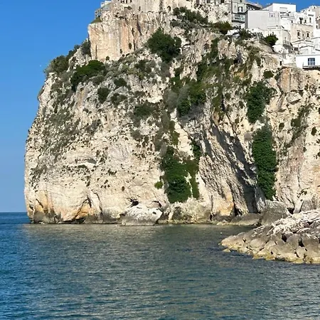 Vakantiehuis Borghetto Sul Mare *